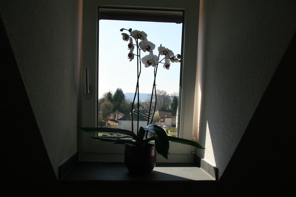 Hotel Eremitage Arlesheim Exteriér fotografie